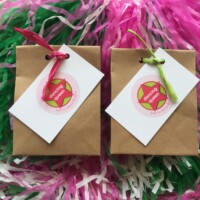 Lolly Bags Kids Party Lolly Bag